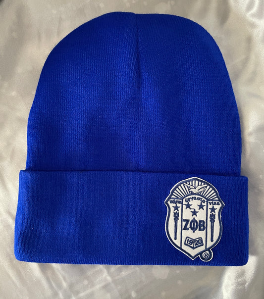 Zeta Shield Beanie with Satin Lining