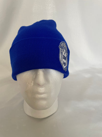 Zeta Shield Beanie with Satin Lining