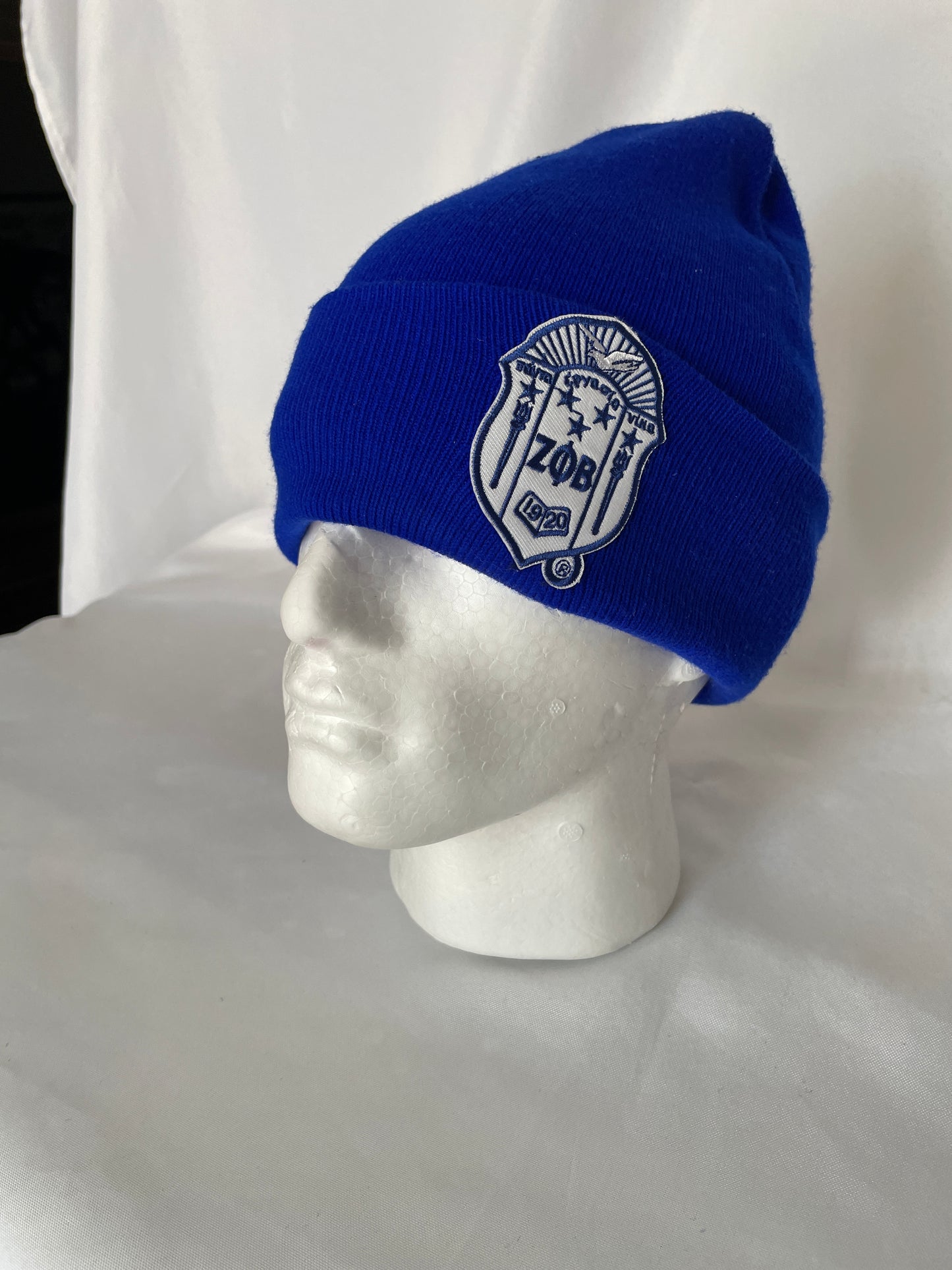 Zeta Shield Beanie with Satin Lining