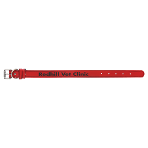 Medium 19" x 1" Laserable Leatherette Dog Collar